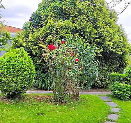 Casa Brais 3* Abelleira